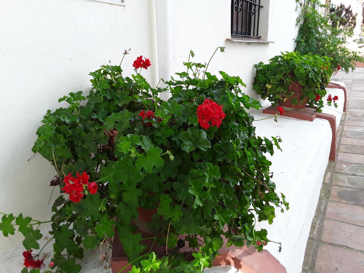 Dona Lola , Luminoso Apartamento Calahonda, Mijas Sitio de Calahonda Luaran gambar