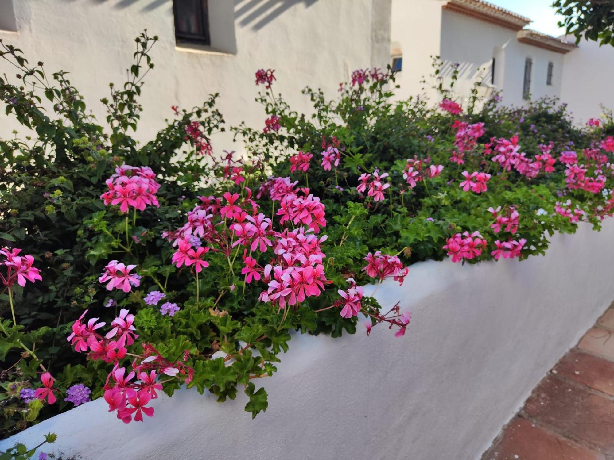Dona Lola , Luminoso Apartamento Calahonda, Mijas Sitio de Calahonda Luaran gambar